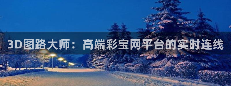 果博公司现场下载网址：3D图路大师：高端彩宝网平台的实时连线