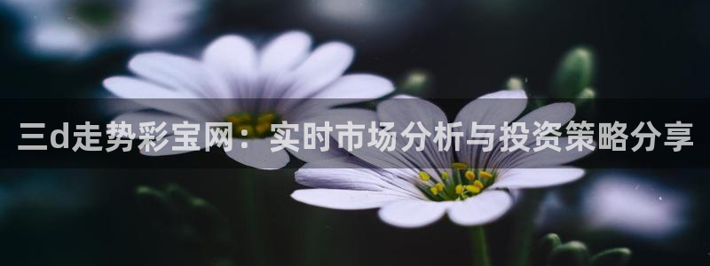 果博app下载安装：三d走势彩宝网：实时市场分析与投资策略分享