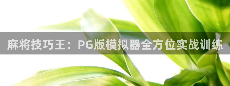GB果博 - ng大舞台,有梦你就来：麻将技巧王：PG版模拟器全方位实战训练