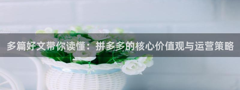 壹号app官网版下载：多篇好文带你读懂：拼多多的核心价值观与运营策略
