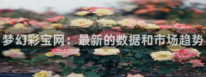 壹号大舞台入口：梦幻彩宝网：最新的数据和市场趋势